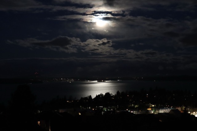 Looking out our window in Seattle
